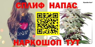 стафф Абинск