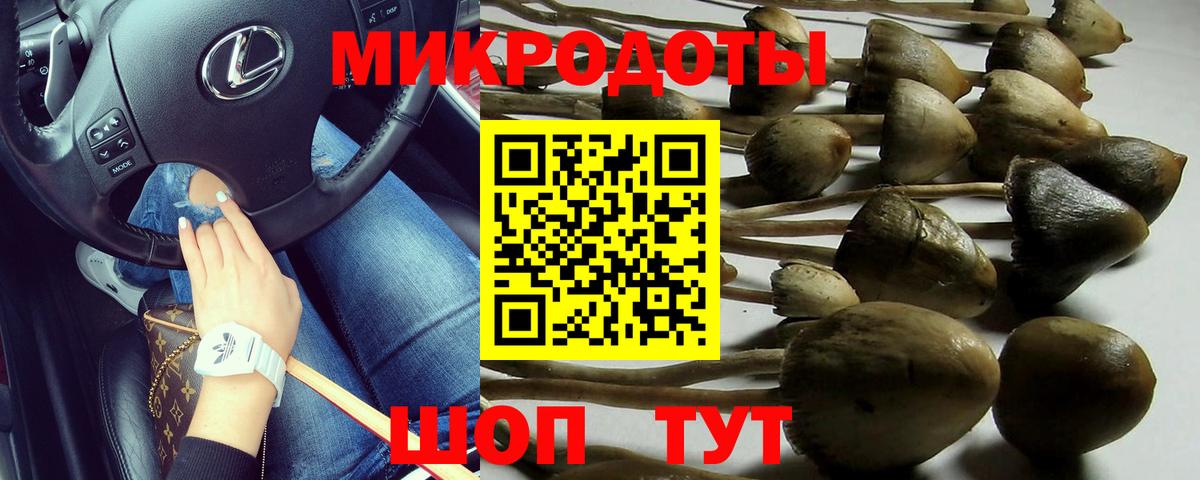 Галлюциногенные грибы ЛСД Алейск